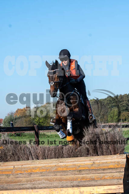 Vielseitigkeitslehrgang mit Jürg Kurbel (9.+10.11.2019)