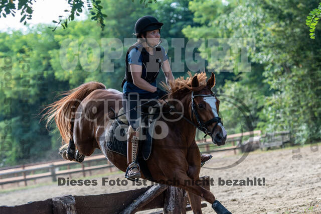 Hunter Geländetraining (16.08.2020)