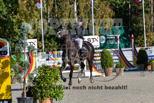 Deutsche Meisterschaft Vielseitigkeit (Luhmühlen)