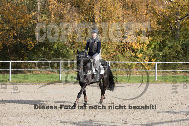 IGV Lehrgang der Sieger der Cups mit Frank Ostholt