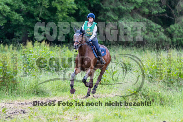 Westerstede Horse Trials (10.-13.06.2021)