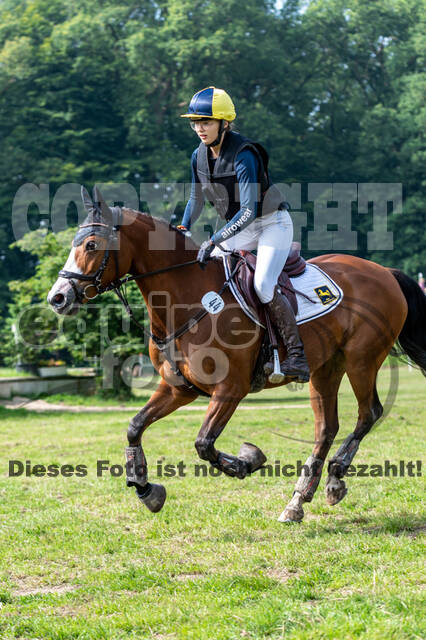 Goldene Schärpe 2021 - Ponys