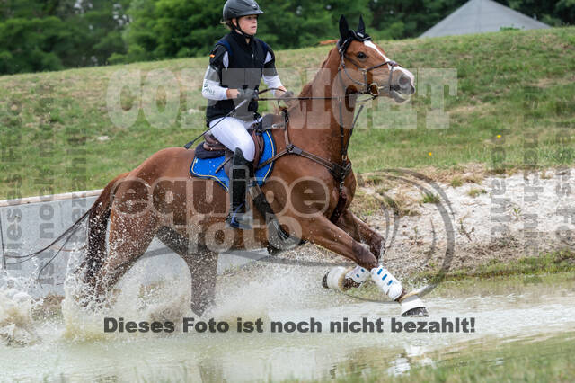 Late-Entry-Vielseitigkeit Langenfeld (11.+13./14.06.2020)
