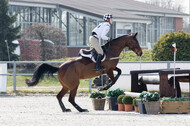 Eventing Langenfeld 2018