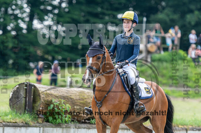 Goldene Schärpe 2021 - Ponys