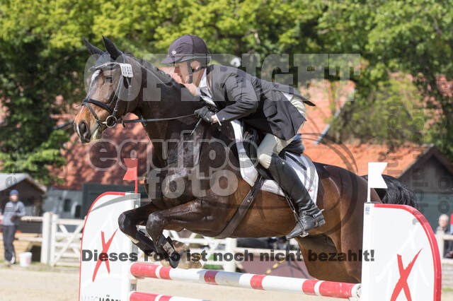 Sterne über Münster 2019 - CCI***S
