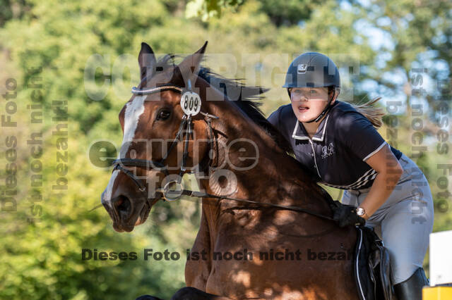 RFV Dinslaken-Hiesfeld (Herbstturnier)