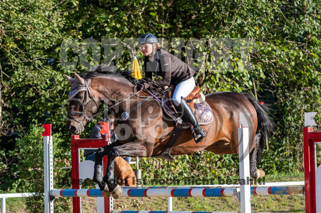 RFV Dinslaken-Hiesfeld (Herbstturnier)