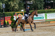 Goldene Schärpe 2021 - Ponys