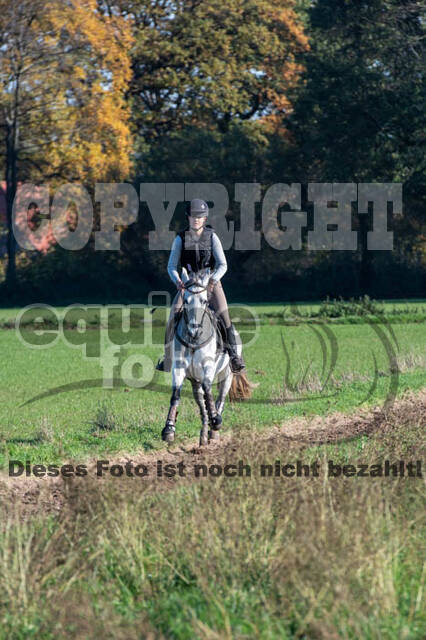 Vielseitigkeitslehrgang mit Jürg Kurbel (9.+10.11.2019)