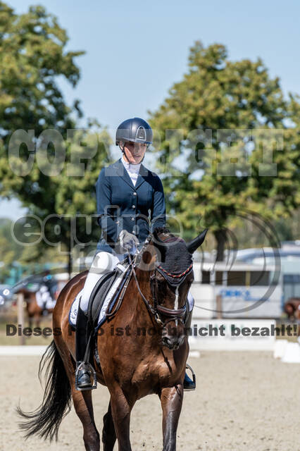 Kronenberg - De Peelbergen (August 2020)