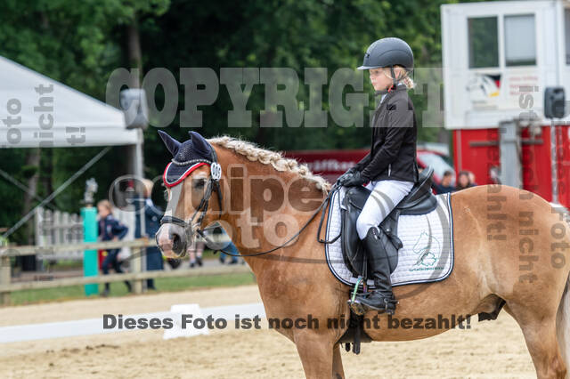 Goldene Schärpe 2021 - Ponys