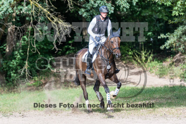 Late-Entry-Vielseitigkeit Langenfeld (11.+13./14.06.2020)