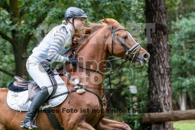 Vielseitigkeit RSV Wesel Obrighoven (26.+27.09.2020)