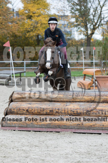 IGV Lehrgang der Sieger der Cups mit Frank Ostholt