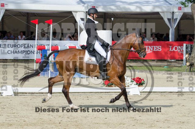 FEI European Championship Eventing 2017