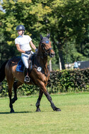 Kronenberg - De Peelbergen (August 2020)