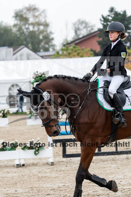 Goldene Schärpe 2020 - Pferde