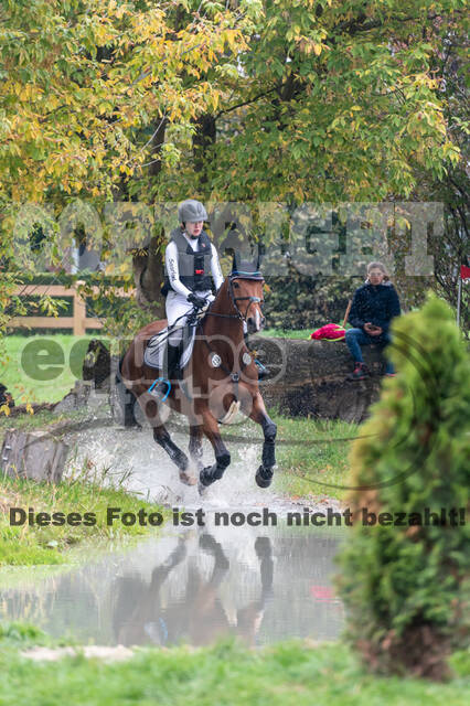 Goldene Schärpe 2020 - Pferde