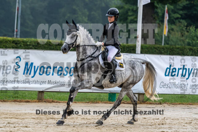 Goldene Schärpe 2021 - Ponys