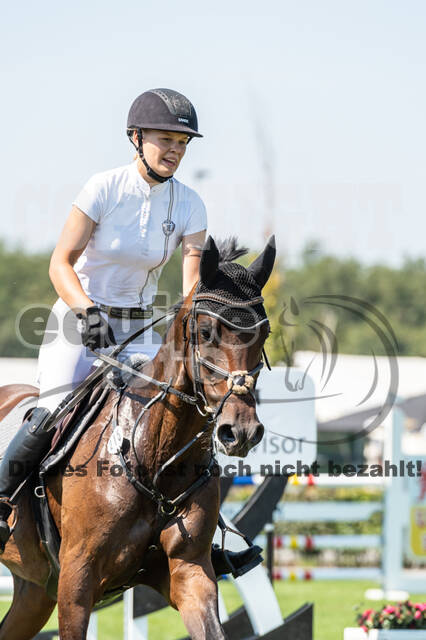 Kronenberg - De Peelbergen (August 2020)