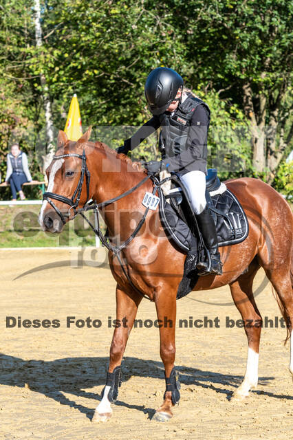 RFV Dinslaken-Hiesfeld (Herbstturnier)
