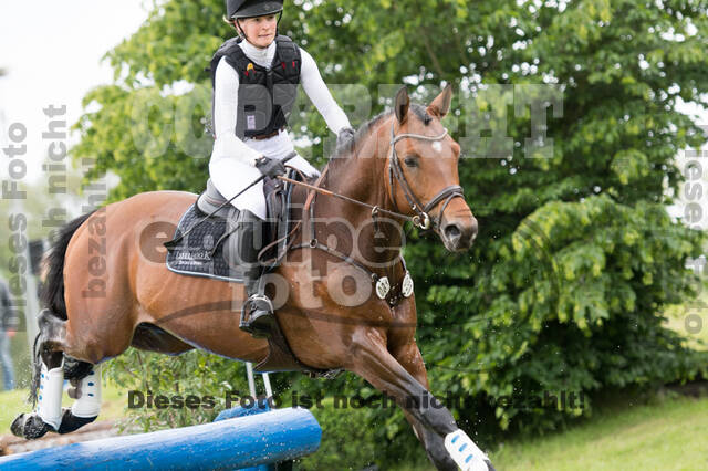 Eventing im Pferdesportzentrum Rheinland