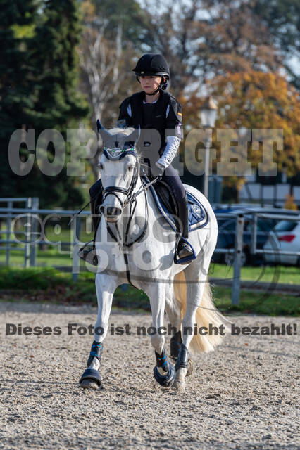 IGV Lehrgang der Sieger der Cups mit Frank Ostholt