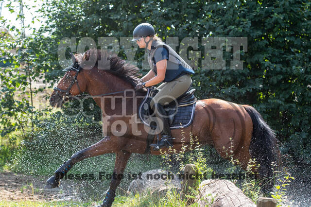 Hunter Geländetraining (16.08.2020)