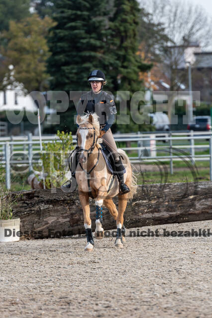 IGV Lehrgang der Sieger der Cups mit Frank Ostholt
