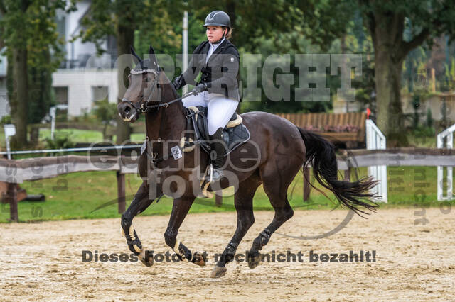 Vielseitigkeit RSV Wesel Obrighoven (26.+27.09.2020)
