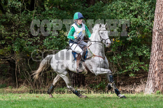 Vielseitigkeit RSV Wesel Obrighoven (26.+27.09.2020)