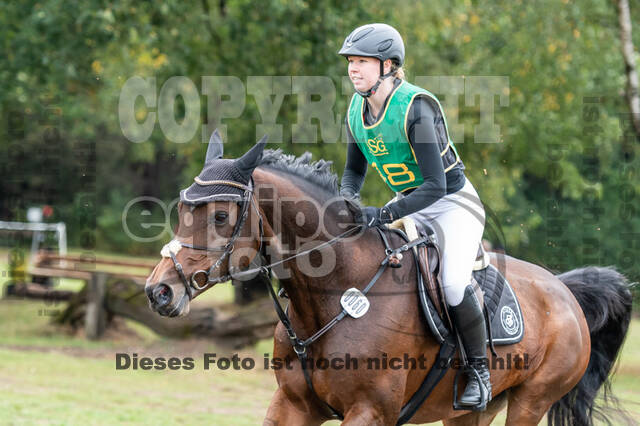 Vielseitigkeit RSV Wesel Obrighoven (26.+27.09.2020)