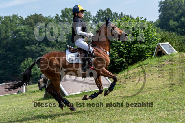 Goldene Schärpe 2021 - Ponys