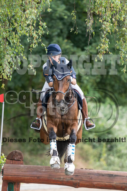 Late-Entry-Vielseitigkeit Langenfeld (11.+13./14.06.2020)