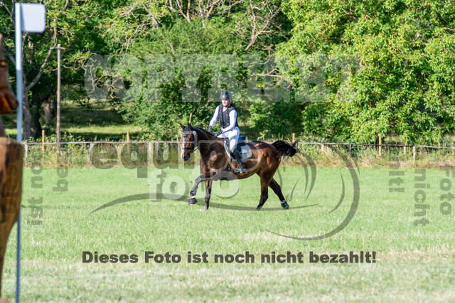 Bonn-Rodderberg Late-Entry-Vielseitigkeit (30.06.2020)