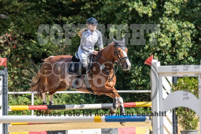 RFV Dinslaken-Hiesfeld (Herbstturnier)