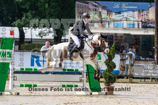 Goldene Schärpe 2021 - Ponys