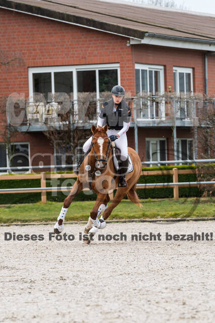 Eventing im Pferdesportzentrum Rheinland (Late Entry 14.03.2022)