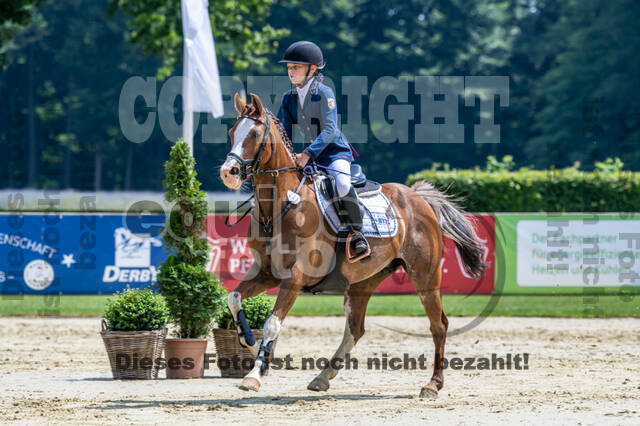 Goldene Schärpe 2021 - Ponys