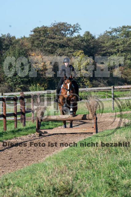 Vielseitigkeitslehrgang mit Jürg Kurbel (9.+10.11.2019)
