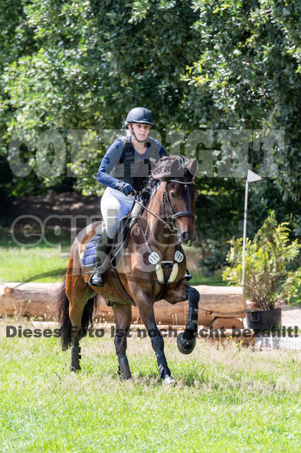 Late-Entry-Vielseitigkeit Langenfeld (06.+07.07.2020)