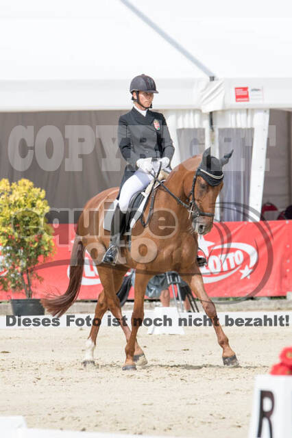 FEI European Championship Eventing 2017