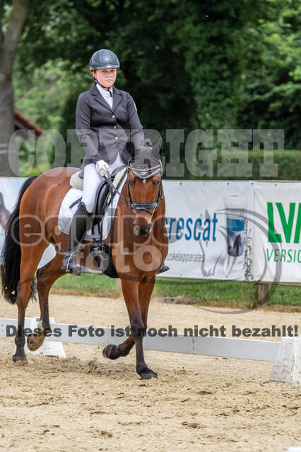 Goldene Schärpe 2021 - Ponys