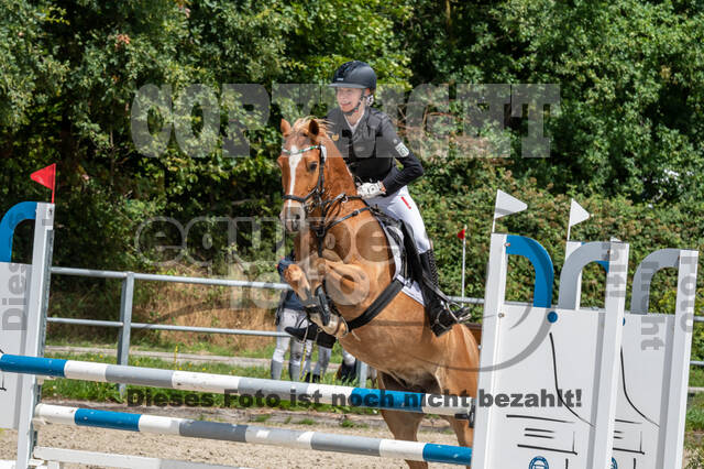 Late-Entry-Vielseitigkeit Langenfeld (06.+07.07.2020)