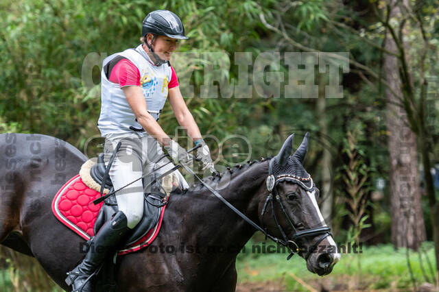 Vielseitigkeit RSV Wesel Obrighoven (26.+27.09.2020)