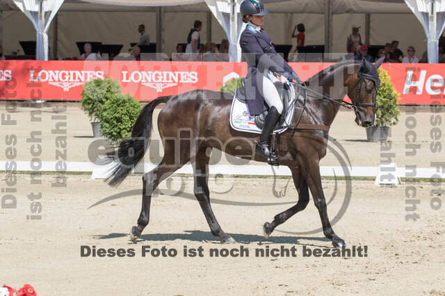 FEI European Championship