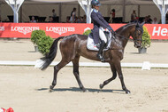 FEI European Championship