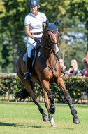 Kronenberg - De Peelbergen (August 2020)