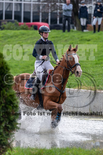 Goldene Schärpe 2020 - Pferde